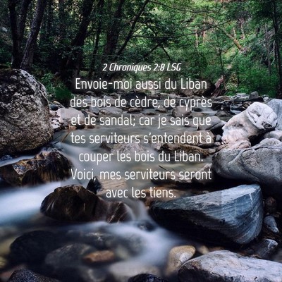 Picture 04 - 2 Chroniques 2:8 LSG - Envoie-moi aussi du Liban des bois de cèdre, de - Bible Verse Picture