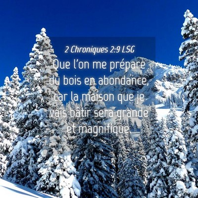 Picture 04 - 2 Chroniques 2:9 LSG - Que l'on me prépare du bois en abondance, car la - Bible Verse Picture