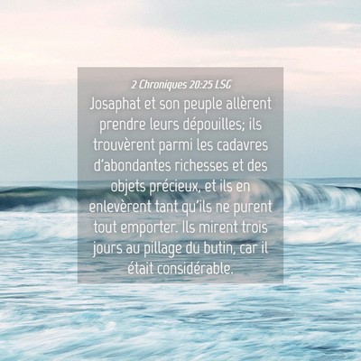 Picture 04 - 2 Chroniques 20:25 LSG - Josaphat et son peuple allèrent prendre leurs - Bible Verse Picture