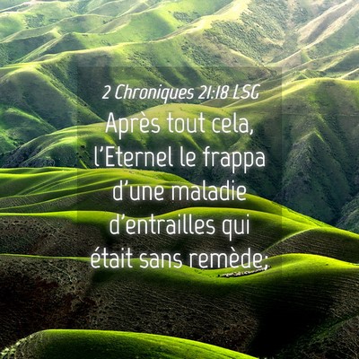 Picture 04 - 2 Chroniques 21:18 LSG - Après tout cela, l'Eternel le frappa d'une - Bible Verse Picture