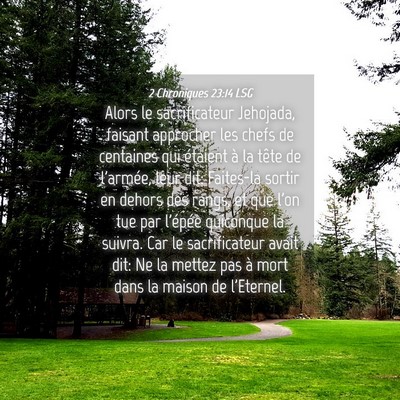 Picture 04 - 2 Chroniques 23:14 LSG - Alors le sacrificateur Jehojada, faisant - Bible Verse Picture