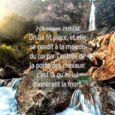 Picture 04 - 2 Chroniques 23:15 LSG - On lui fit place, et elle se rendit à la maison - Bible Verse Picture