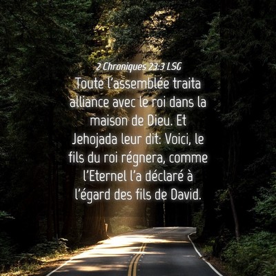Picture 04 - 2 Chroniques 23:3 LSG - Toute l'assemblée traita alliance avec le roi - Bible Verse Picture