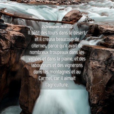 Picture 04 - 2 Chroniques 26:10 LSG - Il bâtit des tours dans le désert, et il creusa - Bible Verse Picture