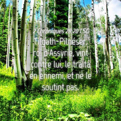 Picture 04 - 2 Chroniques 28:20 LSG - Tilgath-Pilnéser, roi d'Assyrie, vint contre - Bible Verse Picture