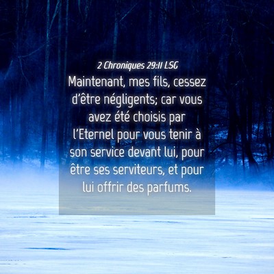 Picture 04 - 2 Chroniques 29:11 LSG - Maintenant, mes fils, cessez d'être négligents; - Bible Verse Picture