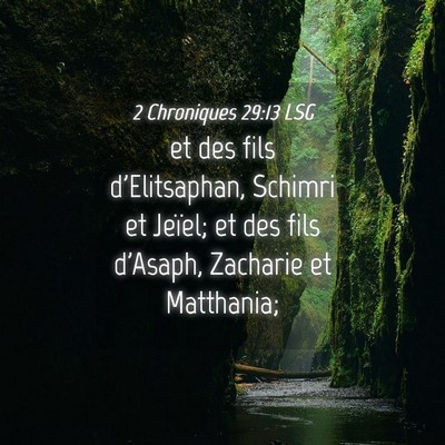 Picture 04 - 2 Chroniques 29:13 LSG - et des fils d'Elitsaphan, Schimri et Jeïel; et - Bible Verse Picture