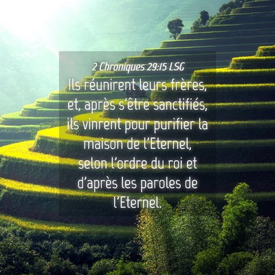 Picture 04 - 2 Chroniques 29:15 LSG - Ils réunirent leurs frères, et, après s'être - Bible Verse Picture