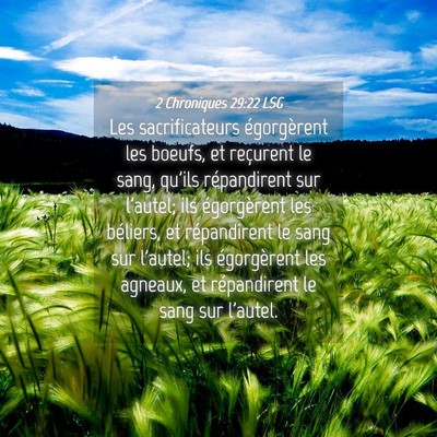 Picture 04 - 2 Chroniques 29:22 LSG - Les sacrificateurs égorgèrent les boeufs, et - Bible Verse Picture