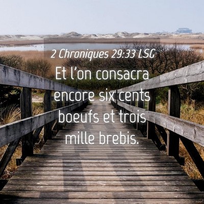 Picture 04 - 2 Chroniques 29:33 LSG - Et l'on consacra encore six cents boeufs et trois - Bible Verse Picture