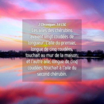 Picture 04 - 2 Chroniques 3:11 LSG - Les ailes des chérubins avaient vingt coudées - Bible Verse Picture