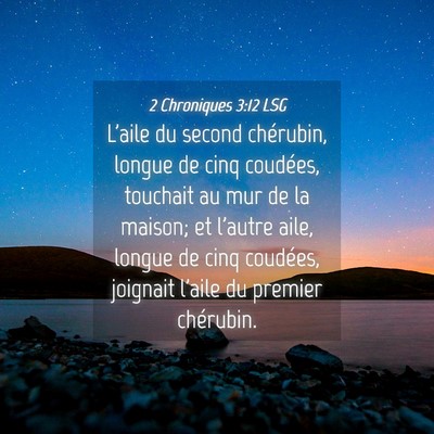 Picture 04 - 2 Chroniques 3:12 LSG - L'aile du second chérubin, longue de cinq - Bible Verse Picture