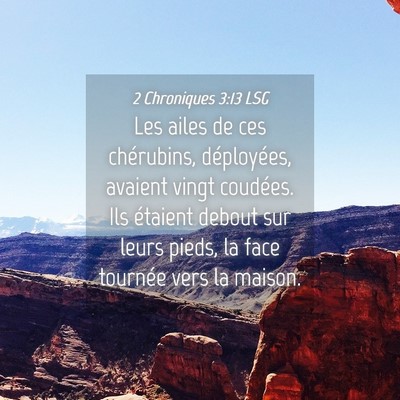 Picture 04 - 2 Chroniques 3:13 LSG - Les ailes de ces chérubins, déployées, avaient - Bible Verse Picture