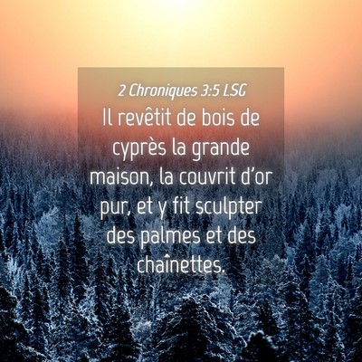 Picture 04 - 2 Chroniques 3:5 LSG - Il revêtit de bois de cyprès la grande maison, - Bible Verse Picture