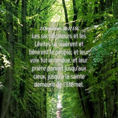 Picture 04 - 2 Chroniques 30:27 LSG - Les sacrificateurs et les Lévites se levèrent - Bible Verse Picture