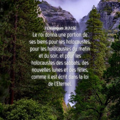 Picture 04 - 2 Chroniques 31:3 LSG - Le roi donna une portion de ses biens pour les - Bible Verse Picture