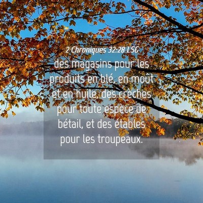 Picture 04 - 2 Chroniques 32:28 LSG - des magasins pour les produits en blé, en moût - Bible Verse Picture