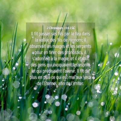 Picture 04 - 2 Chroniques 33:6 LSG - Il fit passer ses fils par le feu dans la vallée - Bible Verse Picture
