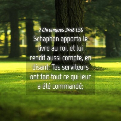 Picture 04 - 2 Chroniques 34:16 LSG - Schaphan apporta le livre au roi, et lui rendit - Bible Verse Picture