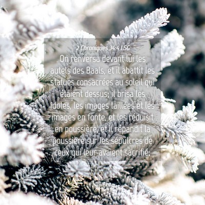 Picture 04 - 2 Chroniques 34:4 LSG - On renversa devant lui les autels des Baals, et - Bible Verse Picture