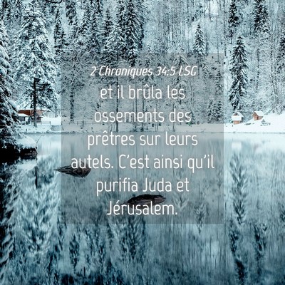 Picture 04 - 2 Chroniques 34:5 LSG - et il brûla les ossements des prêtres sur leurs - Bible Verse Picture