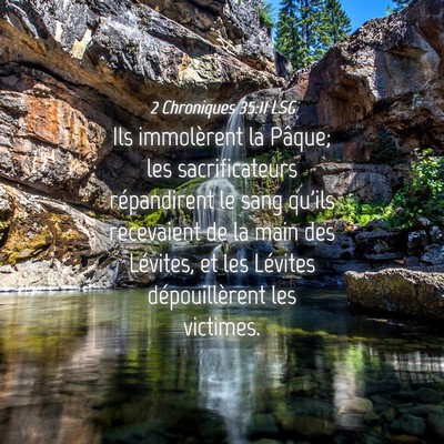 Picture 04 - 2 Chroniques 35:11 LSG - Ils immolèrent la Pâque; les sacrificateurs - Bible Verse Picture