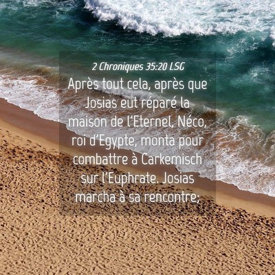 Picture 04 - 2 Chroniques 35:20 LSG - Après tout cela, après que Josias eut réparé - Bible Verse Picture