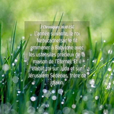 Picture 04 - 2 Chroniques 36:10 LSG - L'année suivante, le roi Nebucadnetsar le fit - Bible Verse Picture
