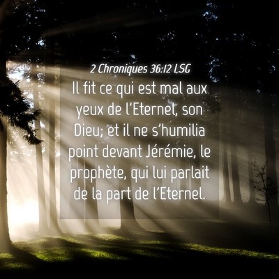 Picture 04 - 2 Chroniques 36:12 LSG - Il fit ce qui est mal aux yeux de l'Eternel, son - Bible Verse Picture