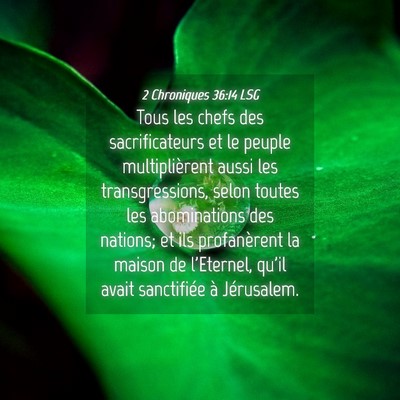 Picture 04 - 2 Chroniques 36:14 LSG - Tous les chefs des sacrificateurs et le peuple - Bible Verse Picture