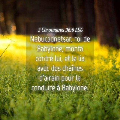 Picture 04 - 2 Chroniques 36:6 LSG - Nebucadnetsar, roi de Babylone, monta contre lui, - Bible Verse Picture