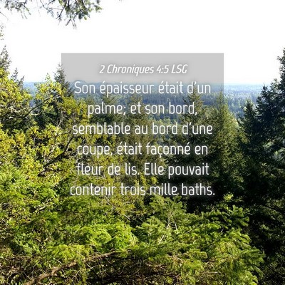 Picture 04 - 2 Chroniques 4:5 LSG - Son épaisseur était d'un palme; et son bord, - Bible Verse Picture