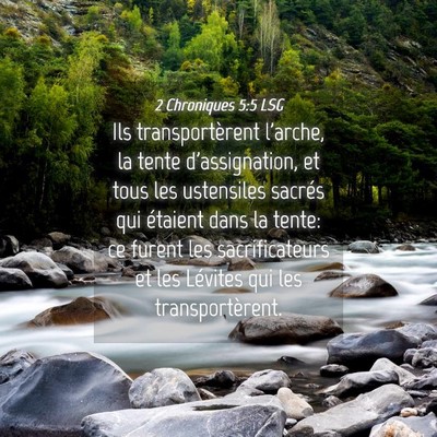 Picture 04 - 2 Chroniques 5:5 LSG - Ils transportèrent l'arche, la tente - Bible Verse Picture