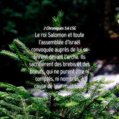 Picture 04 - 2 Chroniques 5:6 LSG - Le roi Salomon et toute l'assemblée d'Israël - Bible Verse Picture