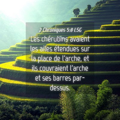 Picture 04 - 2 Chroniques 5:8 LSG - Les chérubins avaient les ailes étendues sur la - Bible Verse Picture