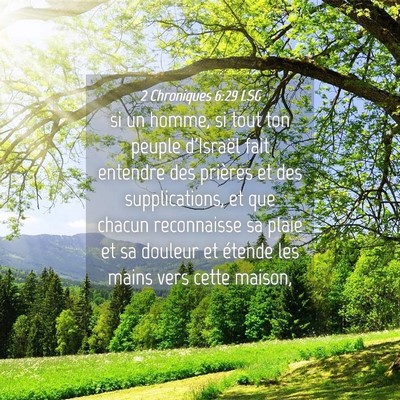 Picture 04 - 2 Chroniques 6:29 LSG - si un homme, si tout ton peuple d'Israël fait - Bible Verse Picture