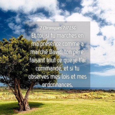Picture 04 - 2 Chroniques 7:17 LSG - Et toi, si tu marches en ma présence comme a - Bible Verse Picture