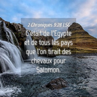 Picture 04 - 2 Chroniques 9:28 LSG - C'était de l'Egypte et de tous les pays que l'on - Bible Verse Picture