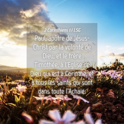 Picture 04 - 2 Corinthiens 1:1 LSG - Paul, apôtre de Jésus-Christ par la volonté de - Bible Verse Picture