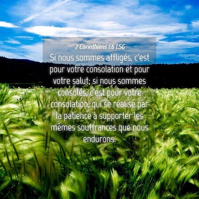 Picture 04 - 2 Corinthiens 1:6 LSG - Si nous sommes affligés, c'est pour votre - Bible Verse Picture