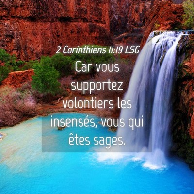 Picture 04 - 2 Corinthiens 11:19 LSG - Car vous supportez volontiers les insensés, vous - Bible Verse Picture