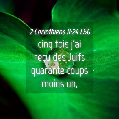 Picture 04 - 2 Corinthiens 11:24 LSG - cinq fois j'ai reçu des Juifs quarante coups - Bible Verse Picture