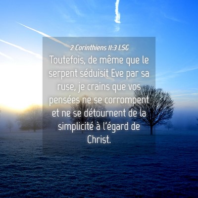 Picture 04 - 2 Corinthiens 11:3 LSG - Toutefois, de même que le serpent séduisit Eve - Bible Verse Picture