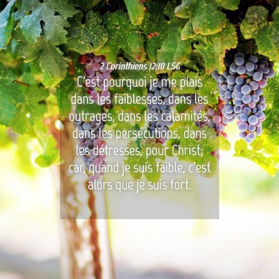 Picture 04 - 2 Corinthiens 12:10 LSG - C'est pourquoi je me plais dans les faiblesses, - Bible Verse Picture