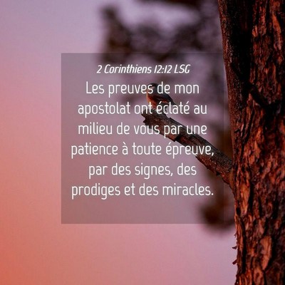 Picture 04 - 2 Corinthiens 12:12 LSG - Les preuves de mon apostolat ont éclaté au - Bible Verse Picture