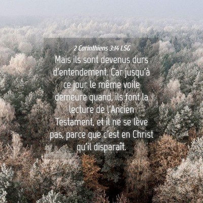 Picture 04 - 2 Corinthiens 3:14 LSG - Mais ils sont devenus durs d'entendement. Car - Bible Verse Picture