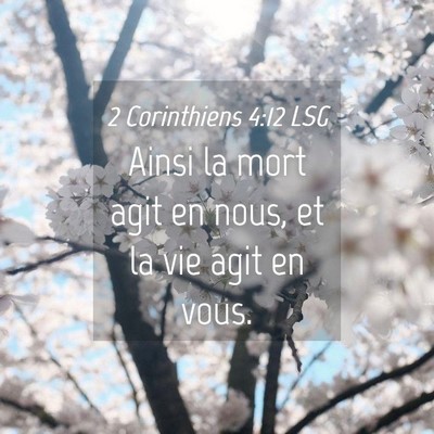 Picture 04 - 2 Corinthiens 4:12 LSG - Ainsi la mort agit en nous, et la vie agit en - Bible Verse Picture