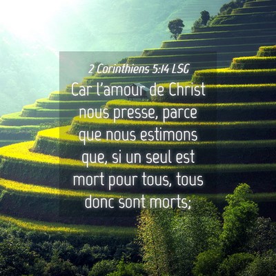 Picture 04 - 2 Corinthiens 5:14 LSG - Car l'amour de Christ nous presse, parce que nous - Bible Verse Picture