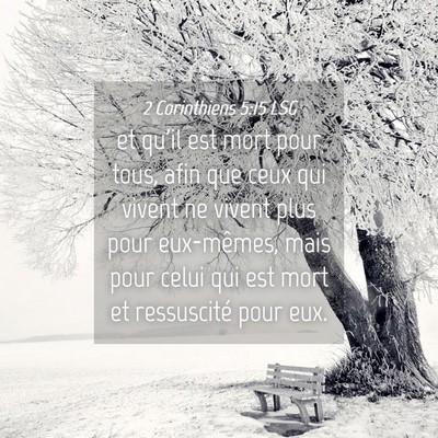Picture 04 - 2 Corinthiens 5:15 LSG - et qu'il est mort pour tous, afin que ceux qui - Bible Verse Picture