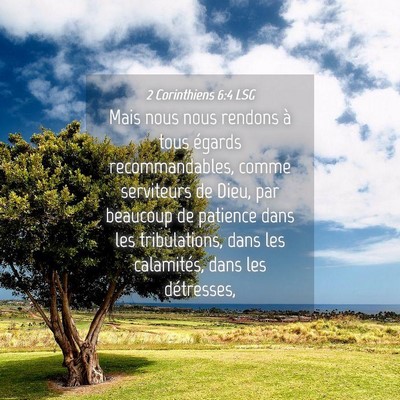 Picture 04 - 2 Corinthiens 6:4 LSG - Mais nous nous rendons à tous égards - Bible Verse Picture